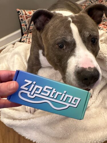 ZipString - 60% Discount (Black Friday Deal) photo review